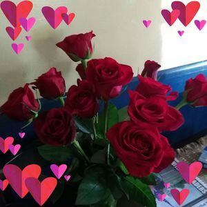 Meet your Posher, Tonya